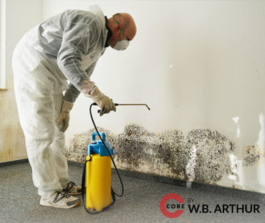 Guide to Professional Mold Remediation - Core By W.B. Arthur