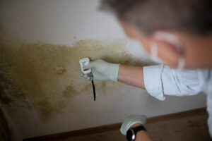 Professional checking the moisture level of a home wall