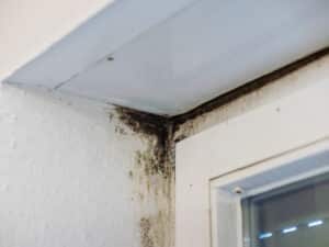 Mold growth in a home