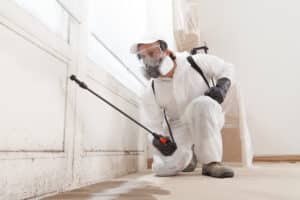 Mold Remediation in a Residential Home